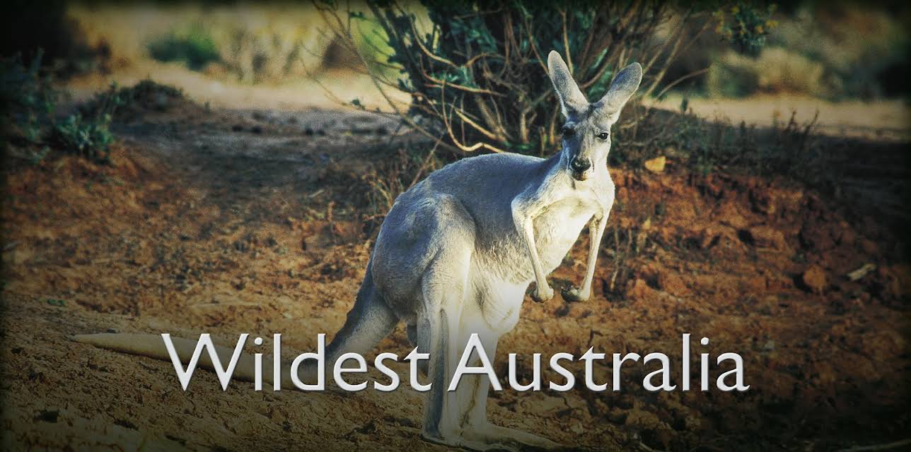 Wildest Australia (1996)
