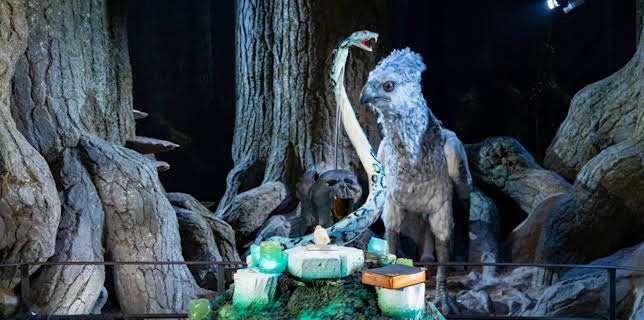 18:00: Harry Potter: Wizards of Baking | Sat1 | 12/7 2025