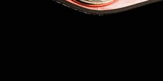 13:38: Así se hace: Robots educativos, Cinturones de boxeo | Discovery | 12/13 2025