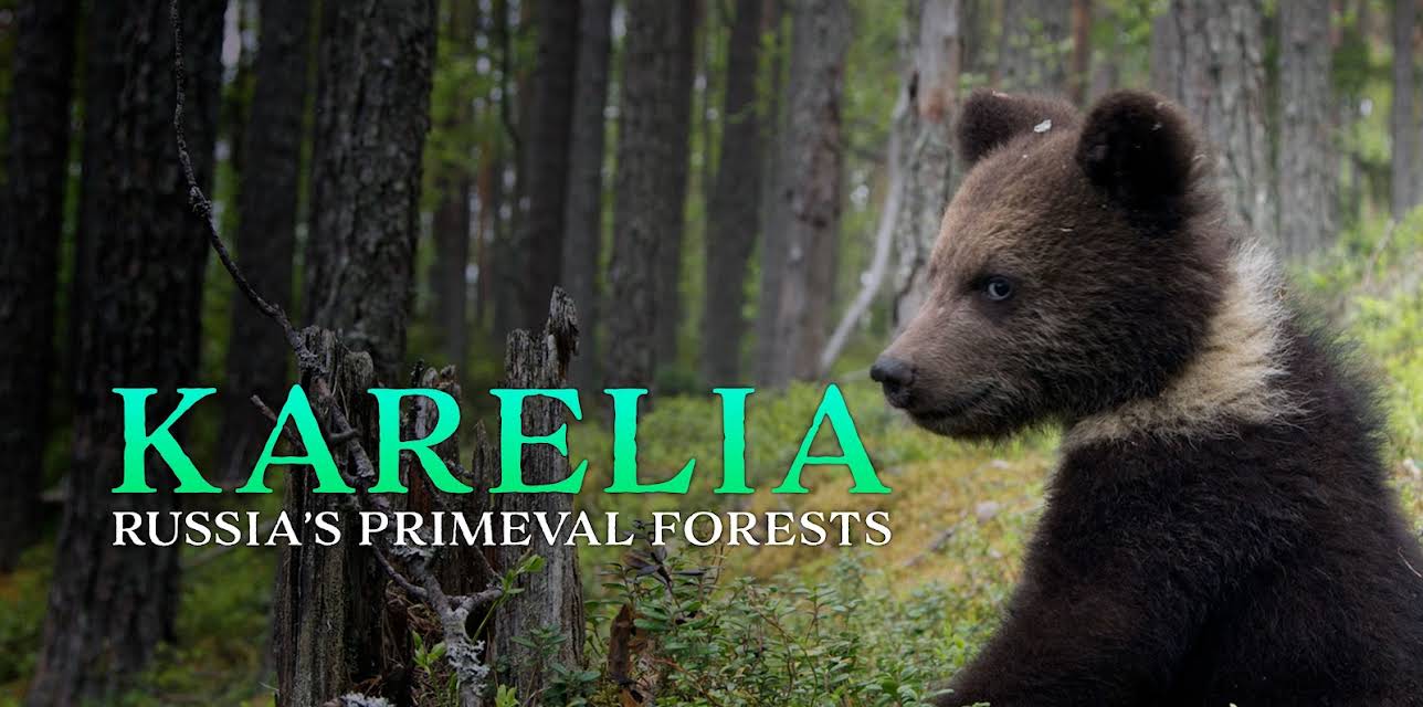 Karelia - Russias Primeval Forests (2017)
