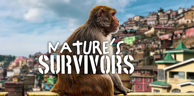 Nature’s Survivors (2026)