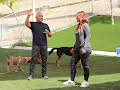 Cesar Millan: Better Human Better Dog - Bessere Menschen, bessere Hunde