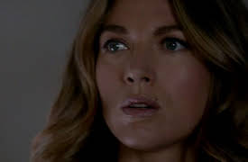 The Following: The Complete First Season: The Siege