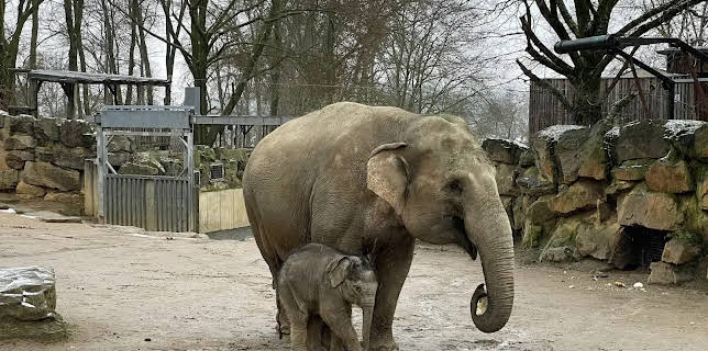 11:30: Die Nordreportage: Tierisch durch die Kälte | Radio Bremen | 2/10 2026