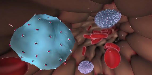 23:05: Campus Talks | ARD Alpha | 3/2 2026