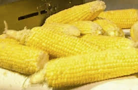 How It's Made: Volume 1: holograms, package printing, skin cultures and canned corn