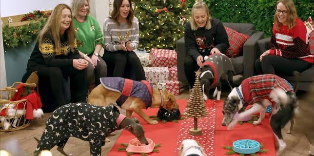 20:45: Hundehuset: Jul | NRK 2 | 3/19 2026