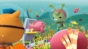 8:00 AM: Octonauts (S3) | Cbeebies | 6/16 2026