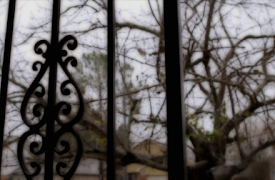 I Was Murdered: Episode 22