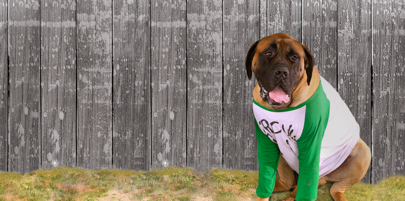 The Sandlot 2 (2005)