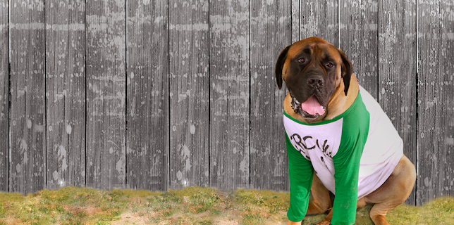 The Sandlot 2 (2005)