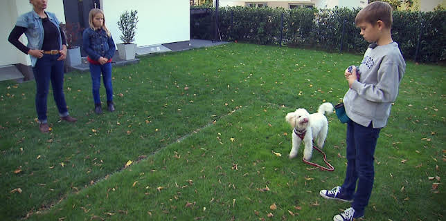 05:55: Liebste Fellnasen - Abenteuer Hundeschule | Das Erste | 3/14 2026