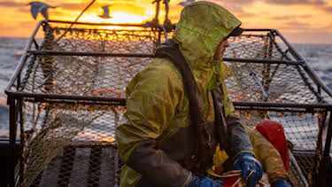 12:00 AM: Deadliest Catch (S20) | Discovery Channel | 10/28 2026