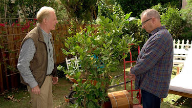 4:00 PM: Modern Family | E4 | 6/24 2026