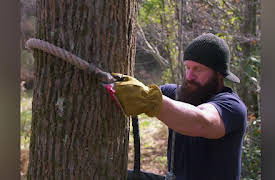 No Limits Season 1: Lumberjacked Up