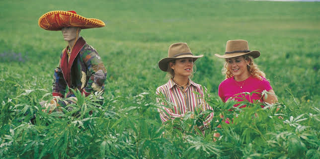 02:55: McLeods døtre (S2 E1) (S2) | TV6 | 1/13 2026