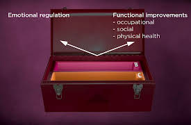 Cognitive Behavioral Therapy for Daily Life: A CBT Toolbox: Toward Wise Living