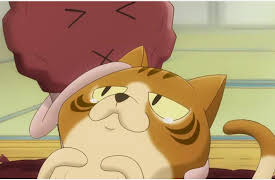 The Nameko Families: Season 1: Grandma's Album