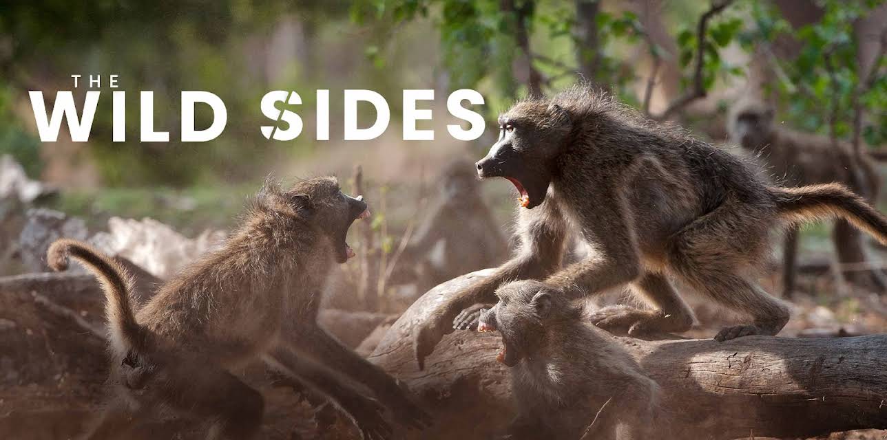 The Wild Sides, Season 1