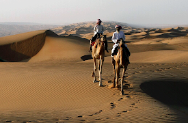 Wild Arabia Season 1: Sand, Wind and Stars