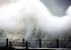 The Secret Life of Waves