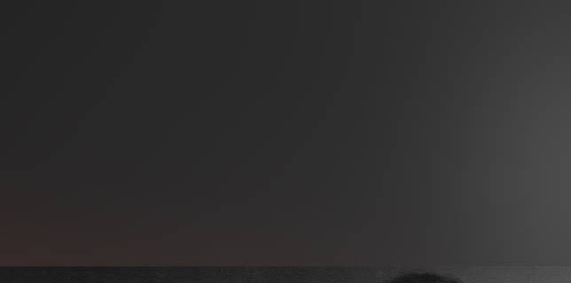 Charlotte Cardin: The Phoenix Experience (2021)