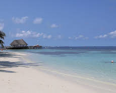 ... die Sie kennen sollten