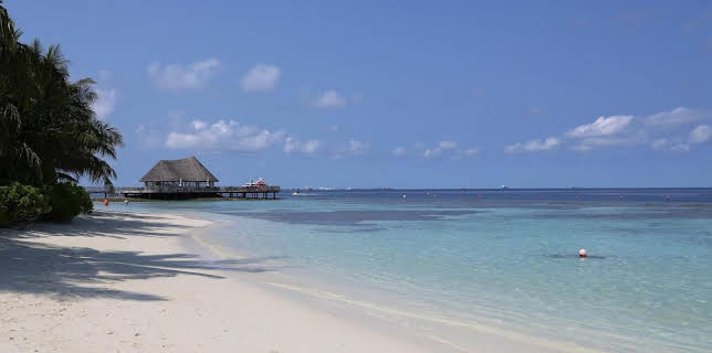 16:15: ... die Sie kennen sollten | SWR Fernsehen RP | 1/3 2026