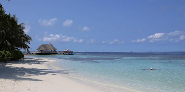 ... die Sie kennen sollten