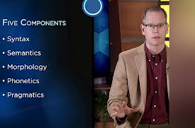 Language and the Mind: Language as a System