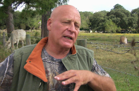 When Vacations Attack!: Episode 12