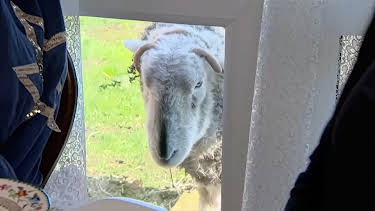 2:15 PM: Four in a Bed | Channel 4 | 4/11 2026