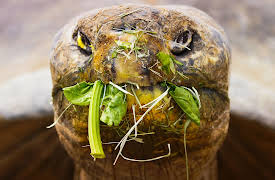 The Zoo: San Diego: Episode 3