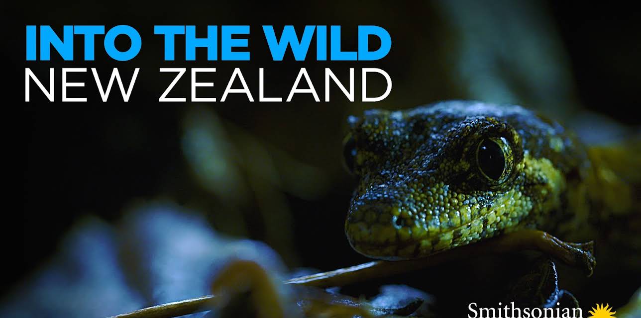 Into the Wild New Zealand