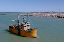 Wild capture: Wild capture 1