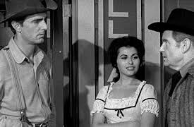 Gunsmoke: Season 7: A Man A Day