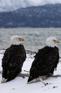 23:10: Alaska: The Last Frontier (S4 E2) (S4) | Discovery Channel | 8/20 2026