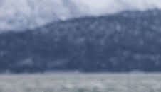 Alaska: The Last Frontier (S4 E2)