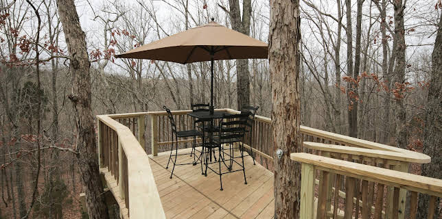 19:00: Hus i tretoppene (S3 E5) (S3) | Animal Planet | 12/16 2025