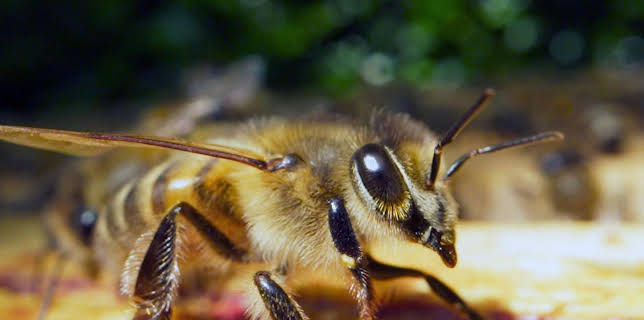 10:21: 360° Reportage | Arte | 12/19 2025