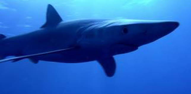 7:00 PM: Blue Planet (S1 E8) (S1) | Yesterday | 1/4 2026