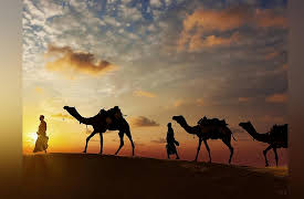 History of the Ancient World: A Global Perspective: Cultures of the Ancient Near East