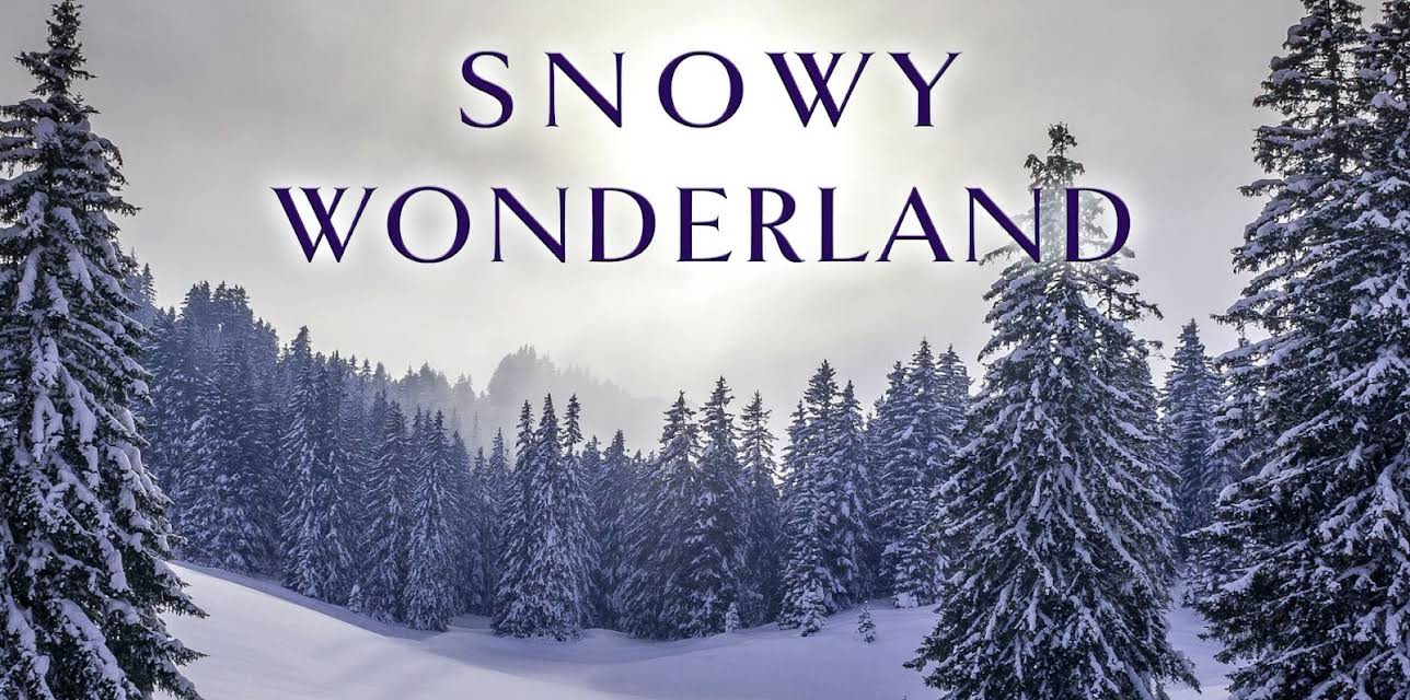 Snowy Wonderland (2024)