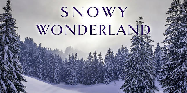 Snowy Wonderland (2024)