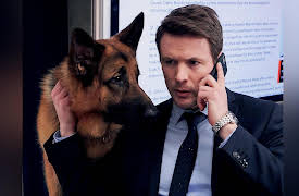 Hudson & Rex: Arte Oscuro