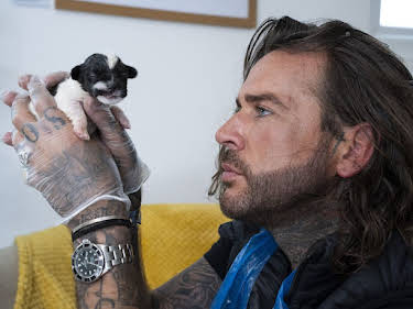 15:20: Pete Wicks - Aus Liebe zu Hunden | Sixx | 6/14 2026