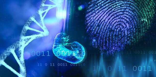 20:45: Forensik 3.0 - Den Tätern auf den Fersen | Tagesschau 24 | 6/11 2025