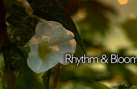 Rhythm And Blooms: The Hershey Gardens Part 2