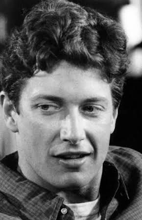 Jim Metzler as 