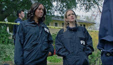 Criminal Minds (S14 E14)
